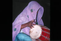 Dholi