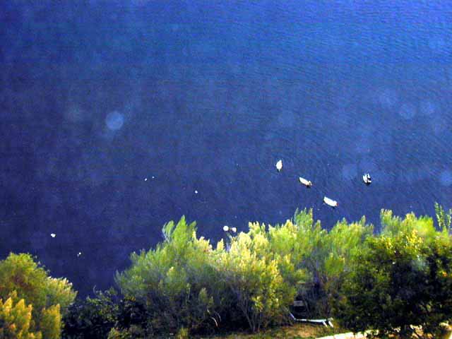 DSCN0950